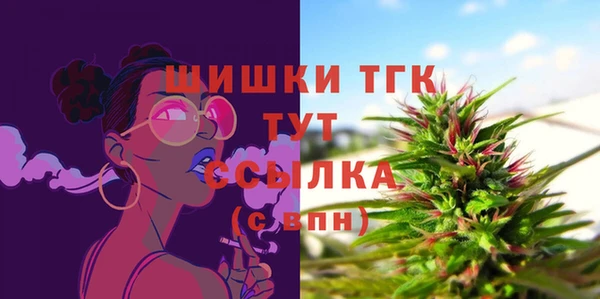 мдпв Вязники