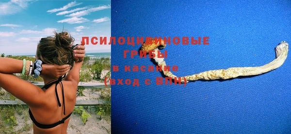 мдпв Вяземский