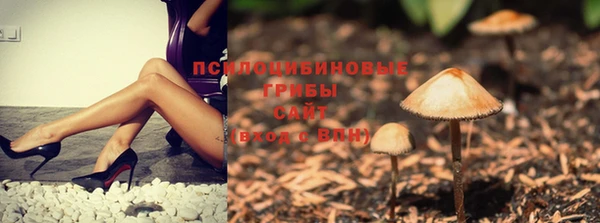 MESCALINE Вязьма