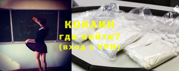 мдпв Вяземский