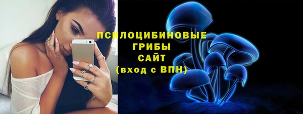 мдпв Вязники