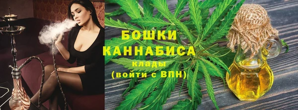 мдпв Вяземский