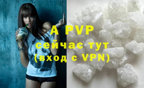 мдпв Вяземский