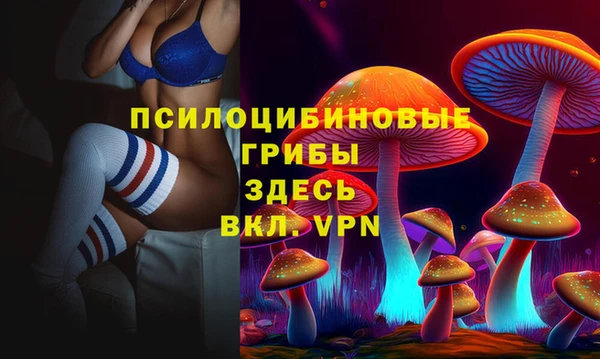 мдпв Вяземский
