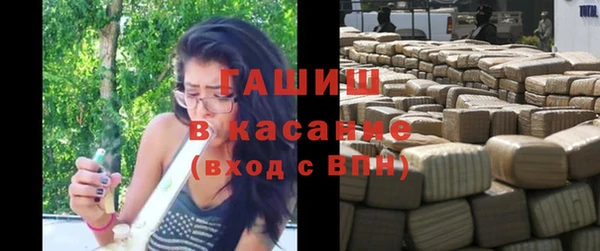 мдпв Вяземский